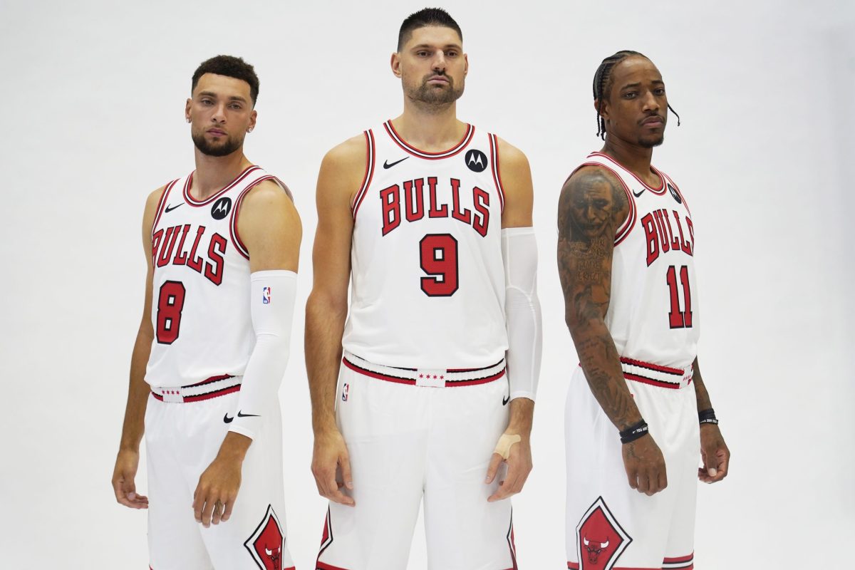 Bulls
