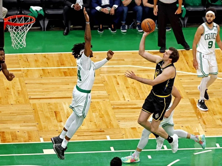 Bjelica