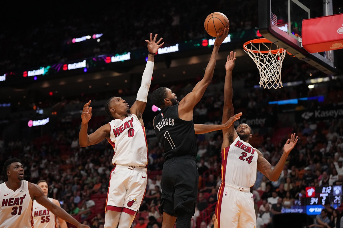 Bridges Nets