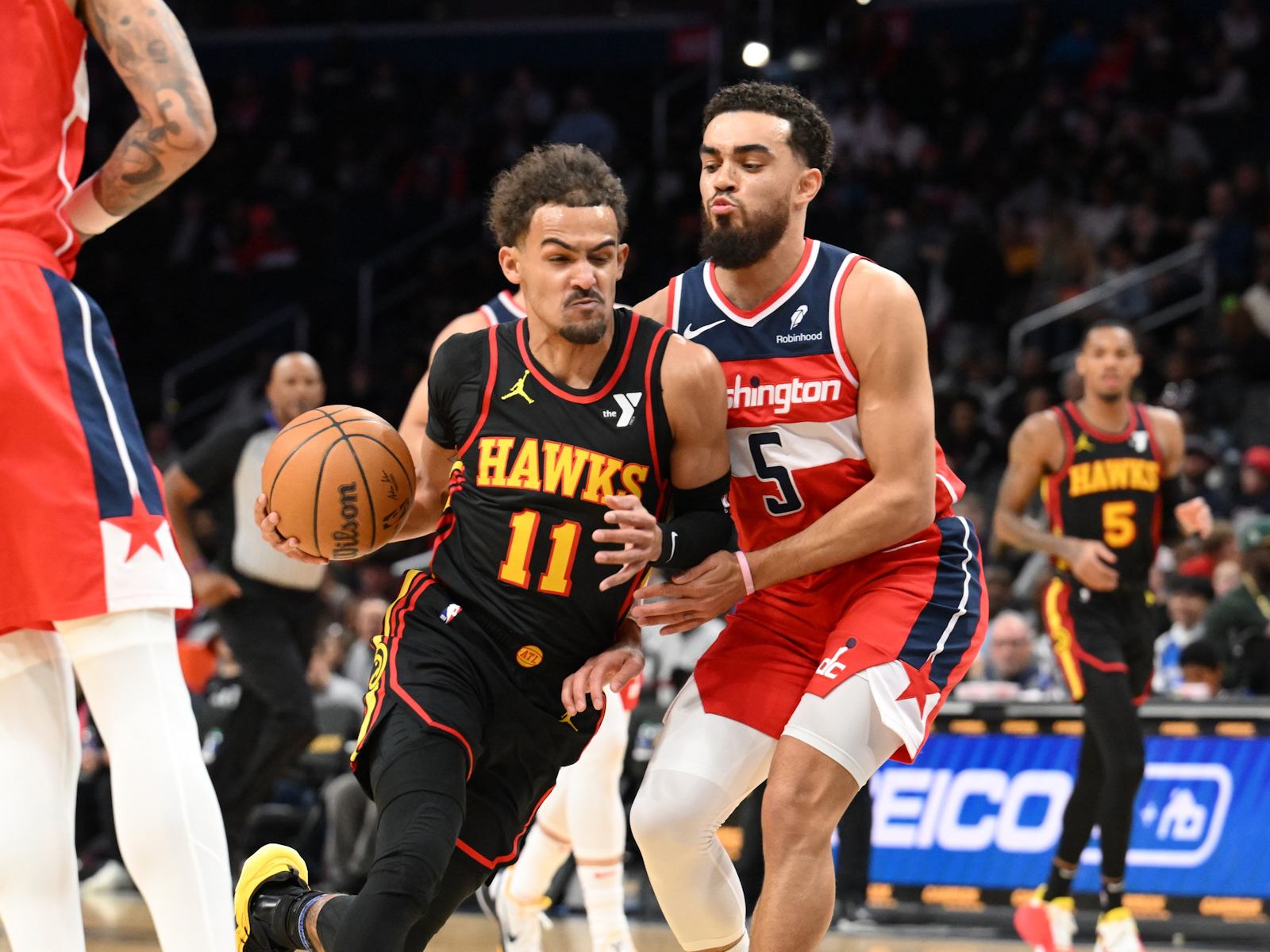 hawks