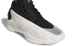 La A.E. 1 « Stormtrooper » débarque en France