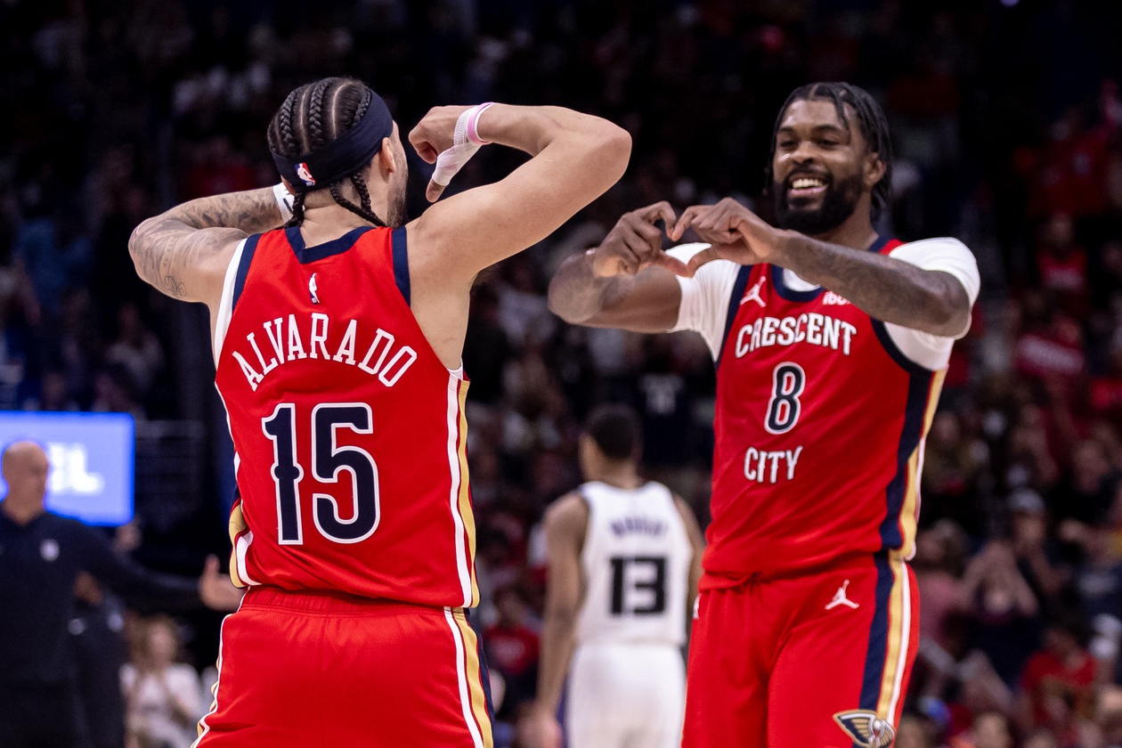 pelicans