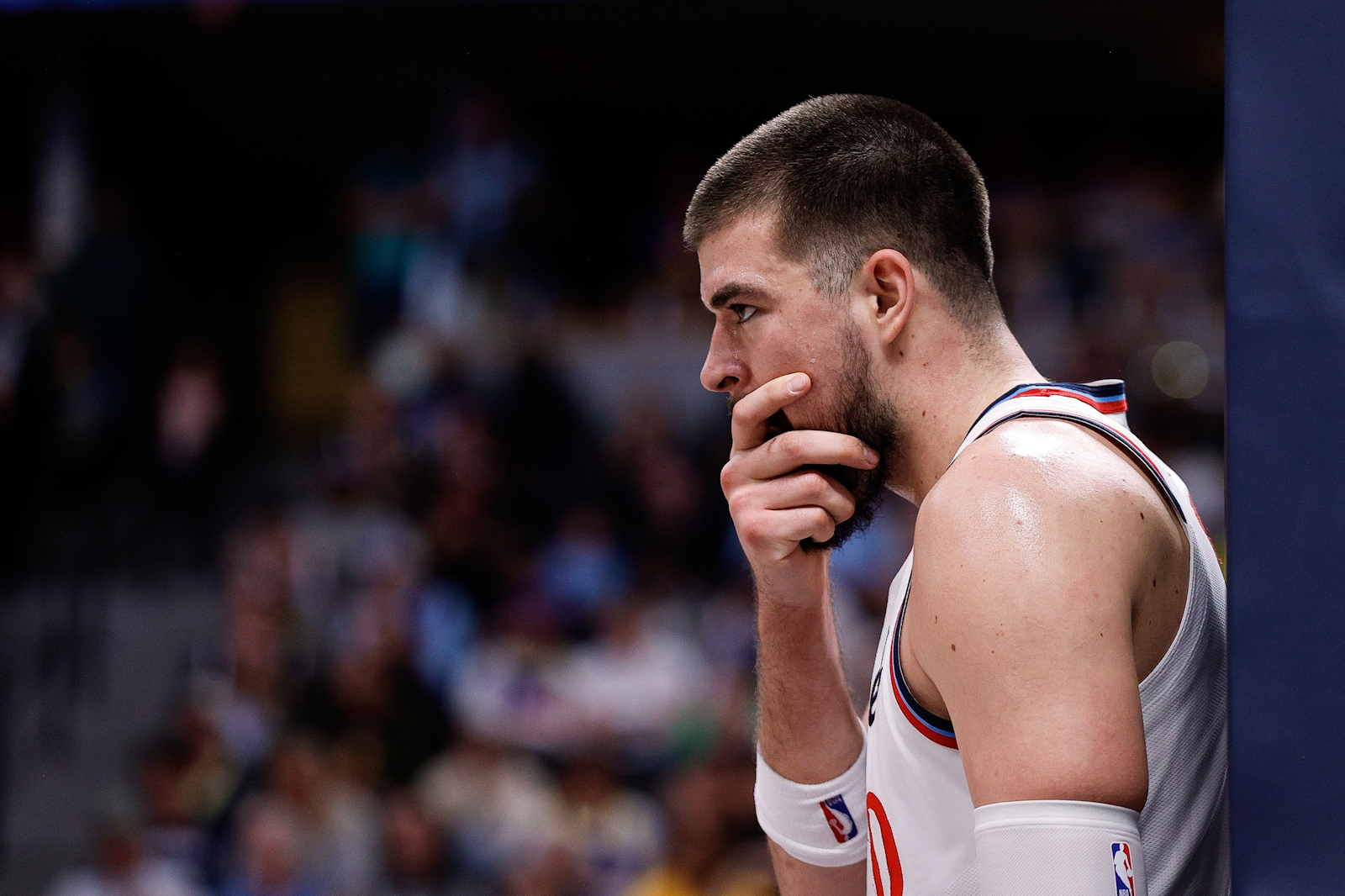 ivica zubac