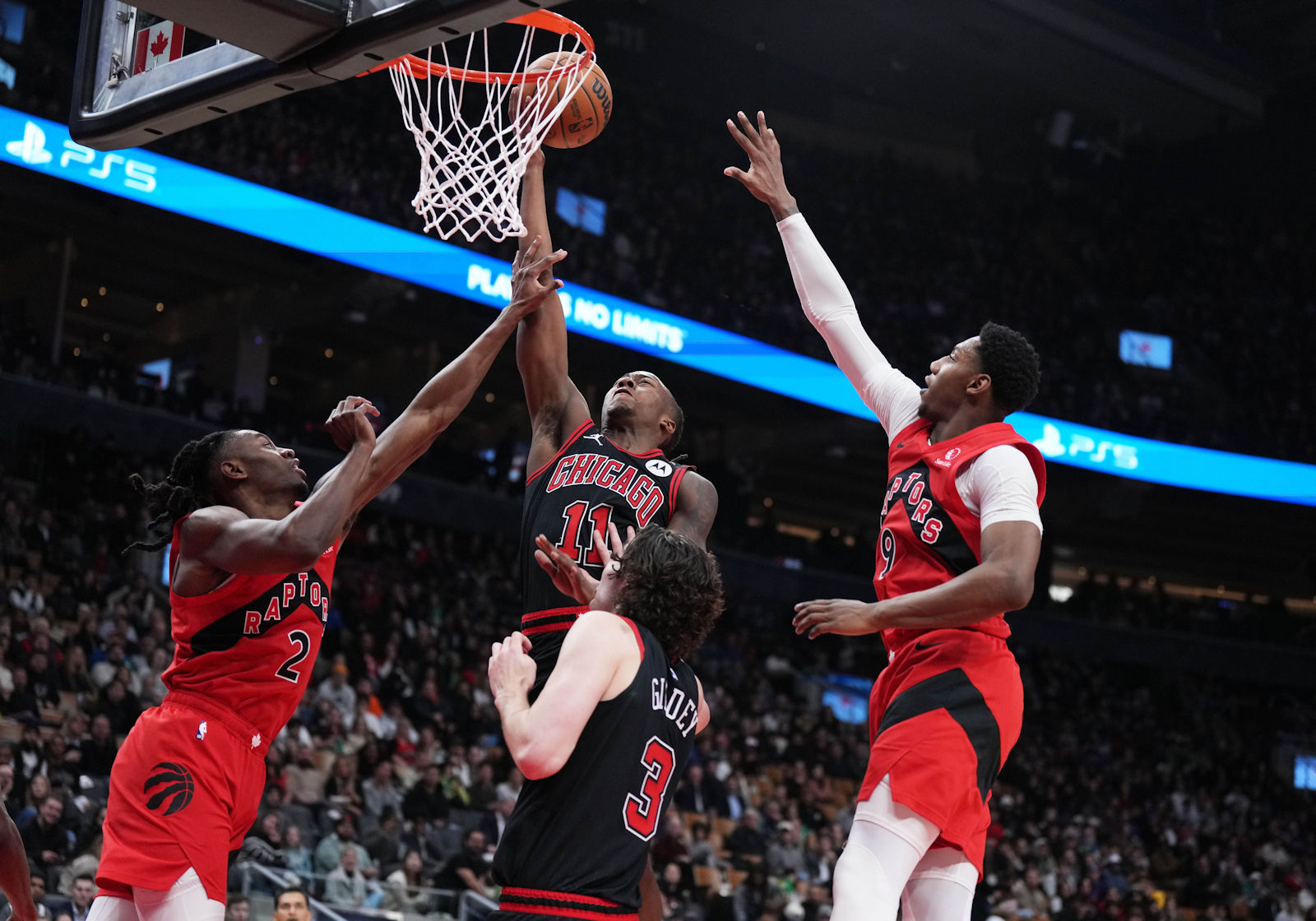 bulls raptors