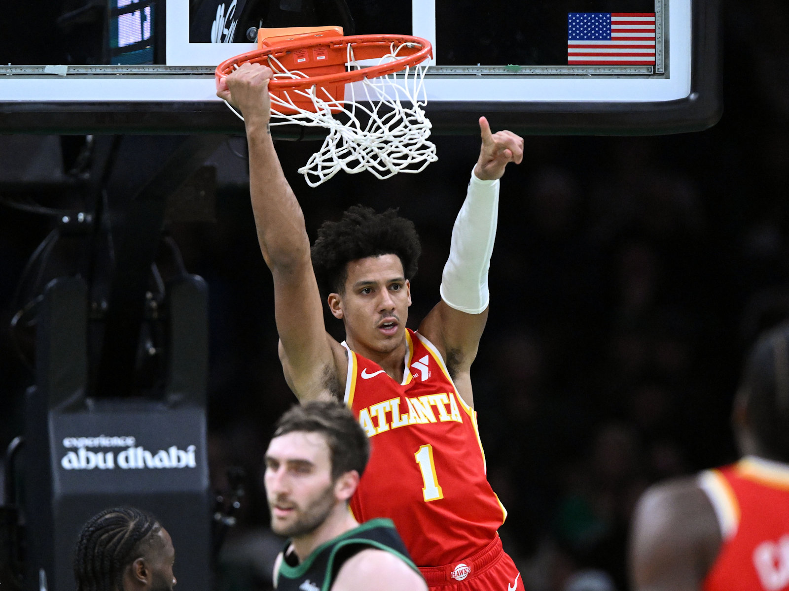 hawks
