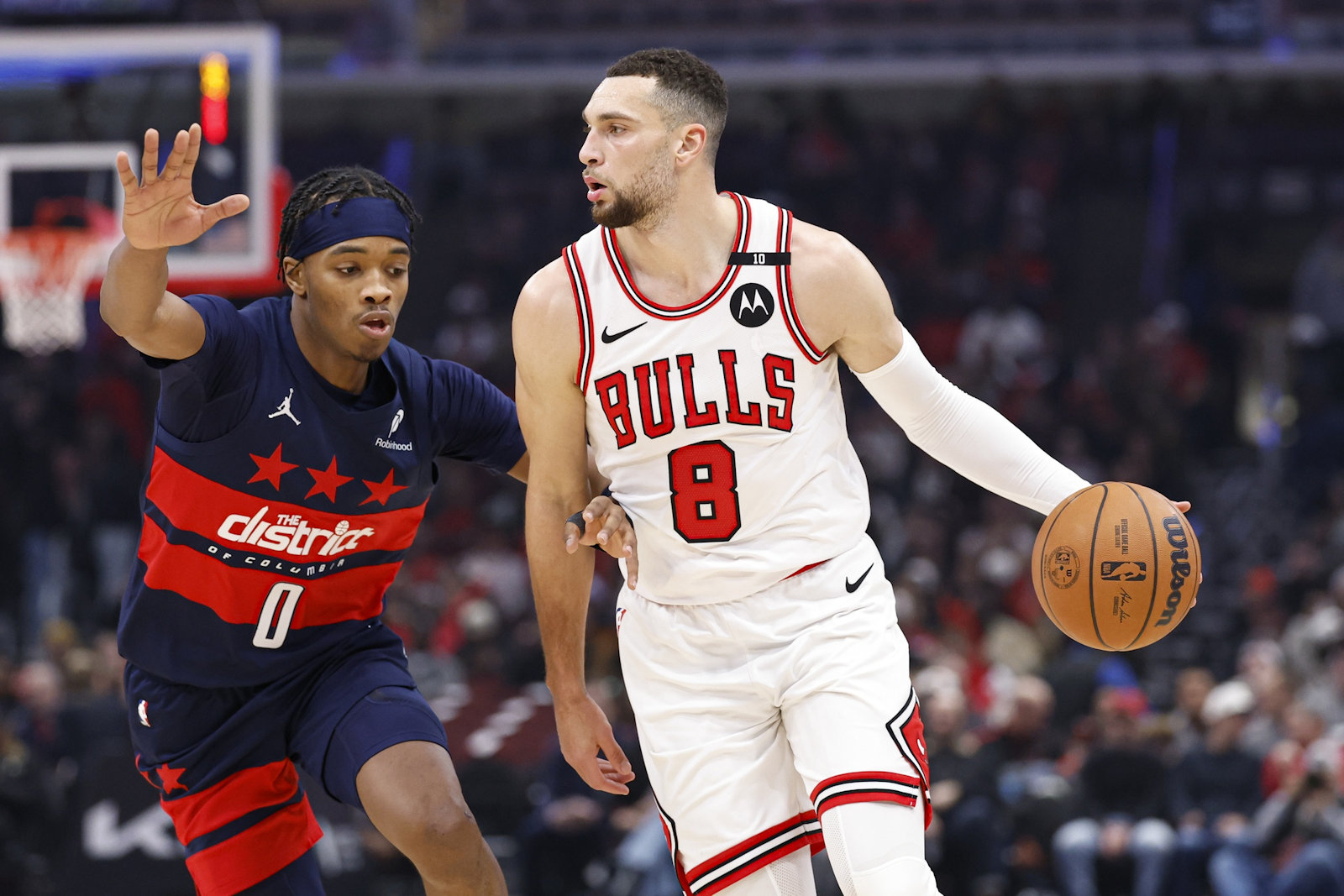 lavine bulls