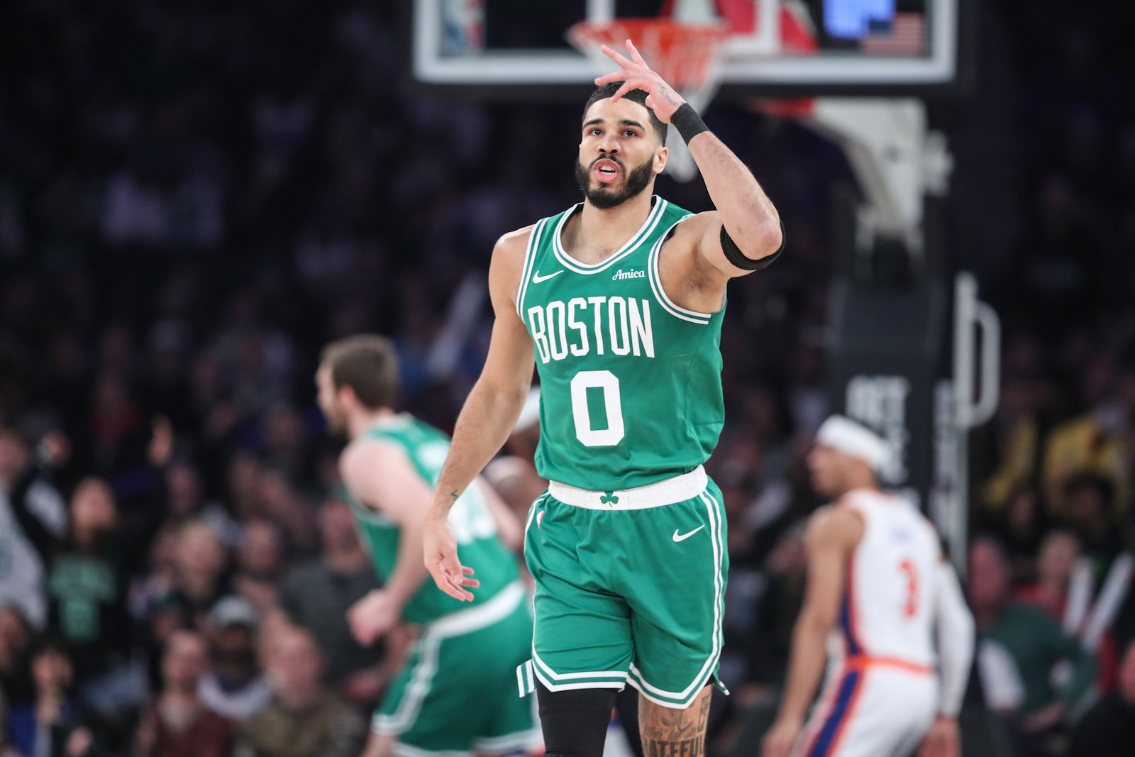 jayson tatum