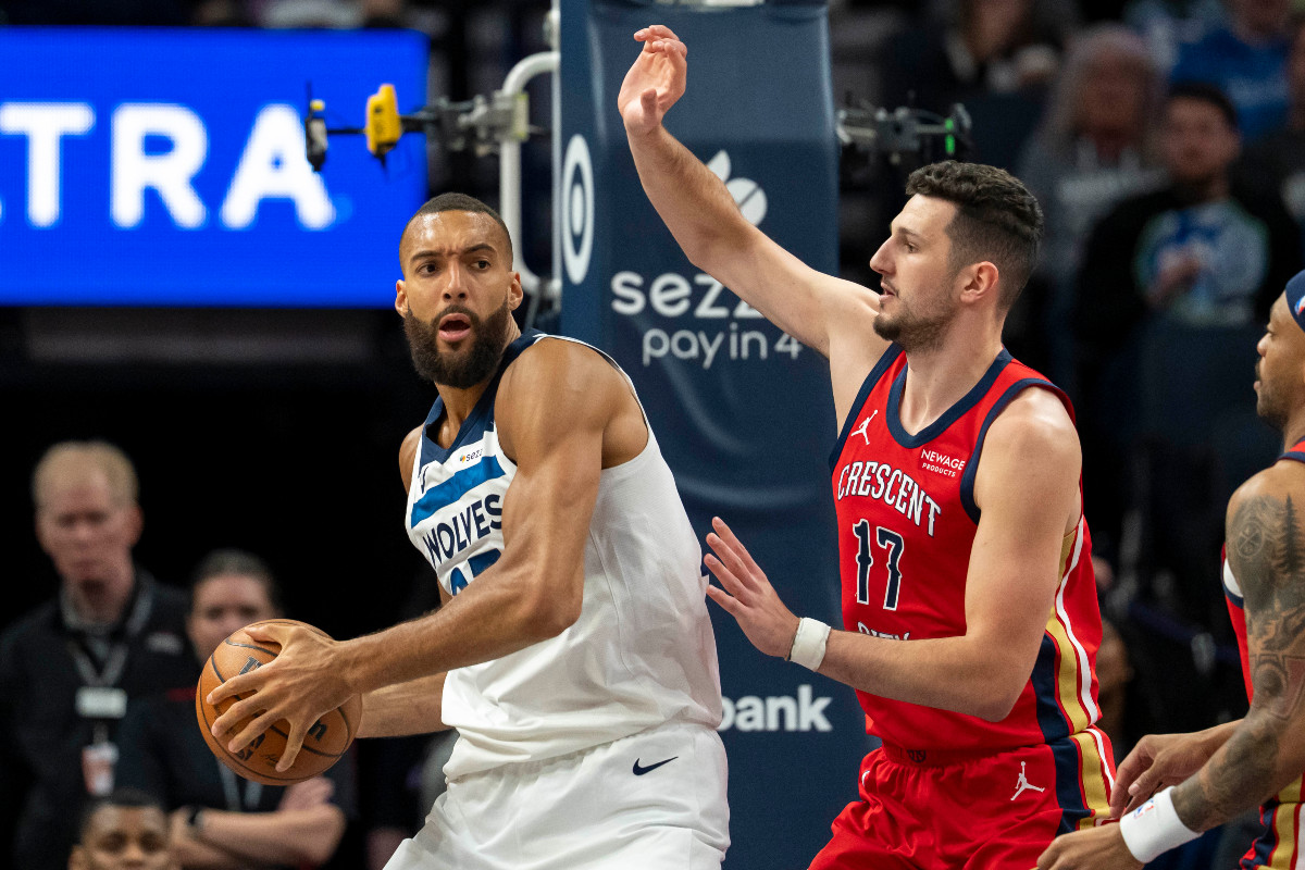 Rudy Gobert et les Wolves