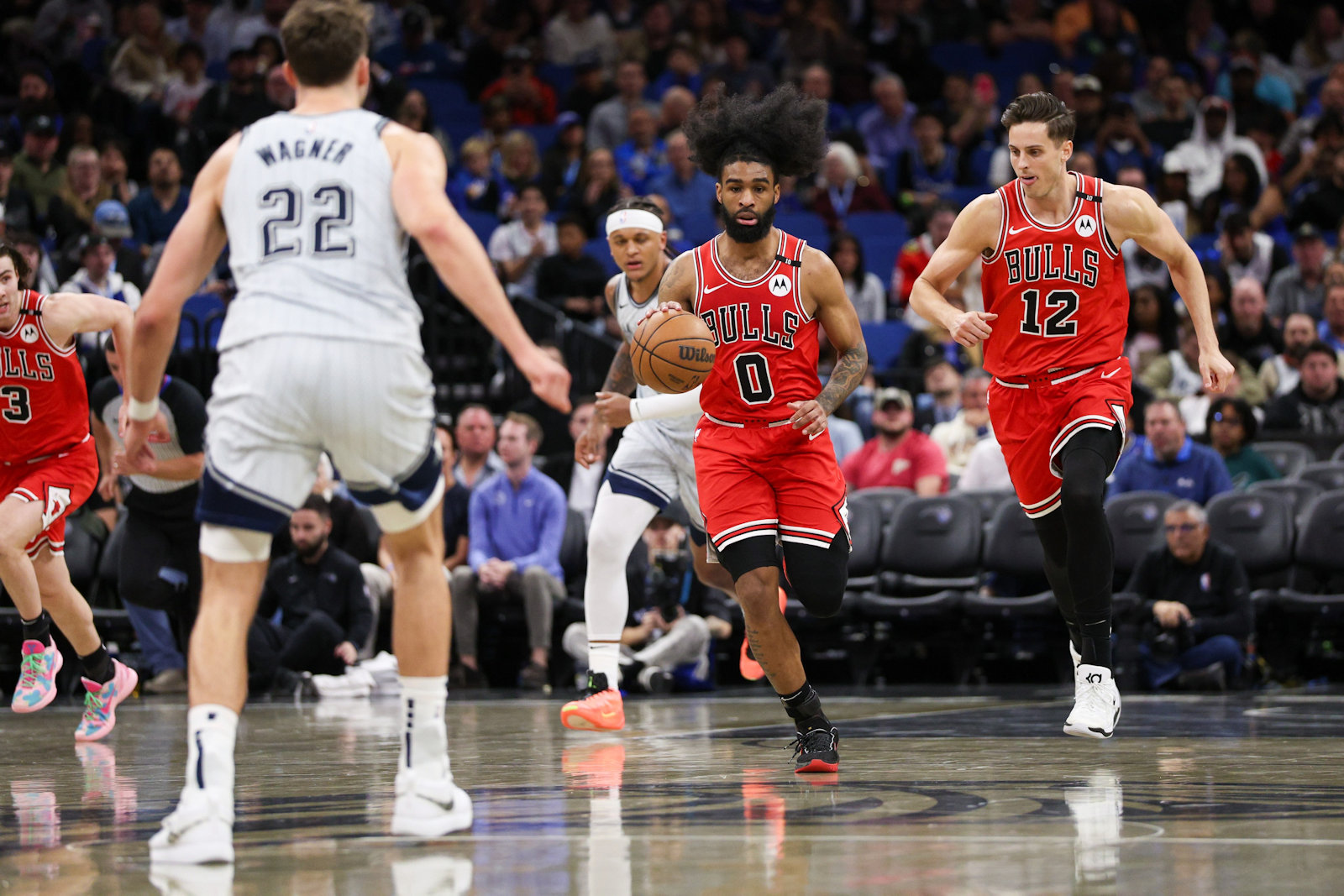 coby white bulls
