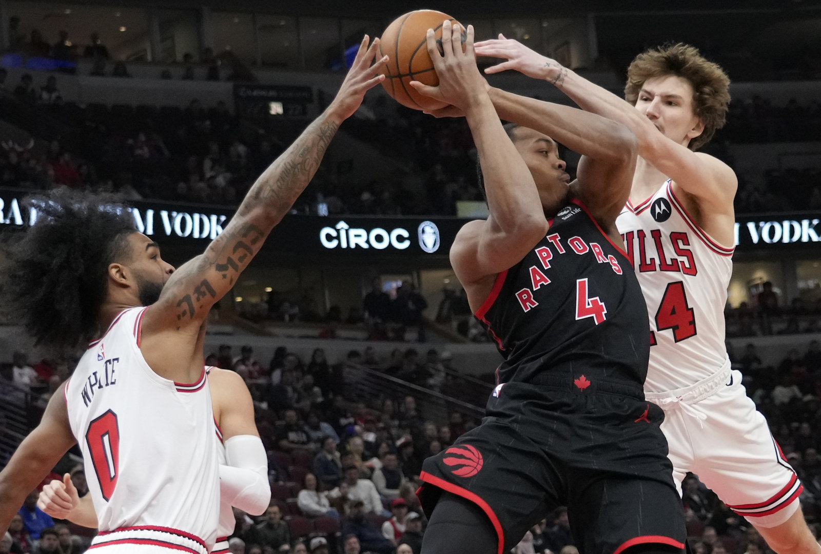 bulls 