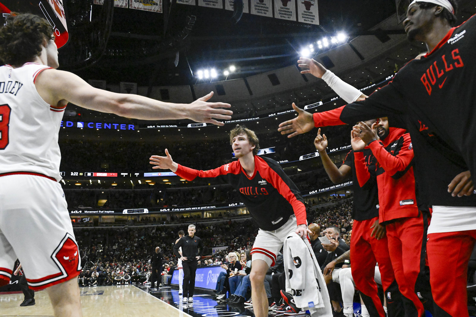 bulls