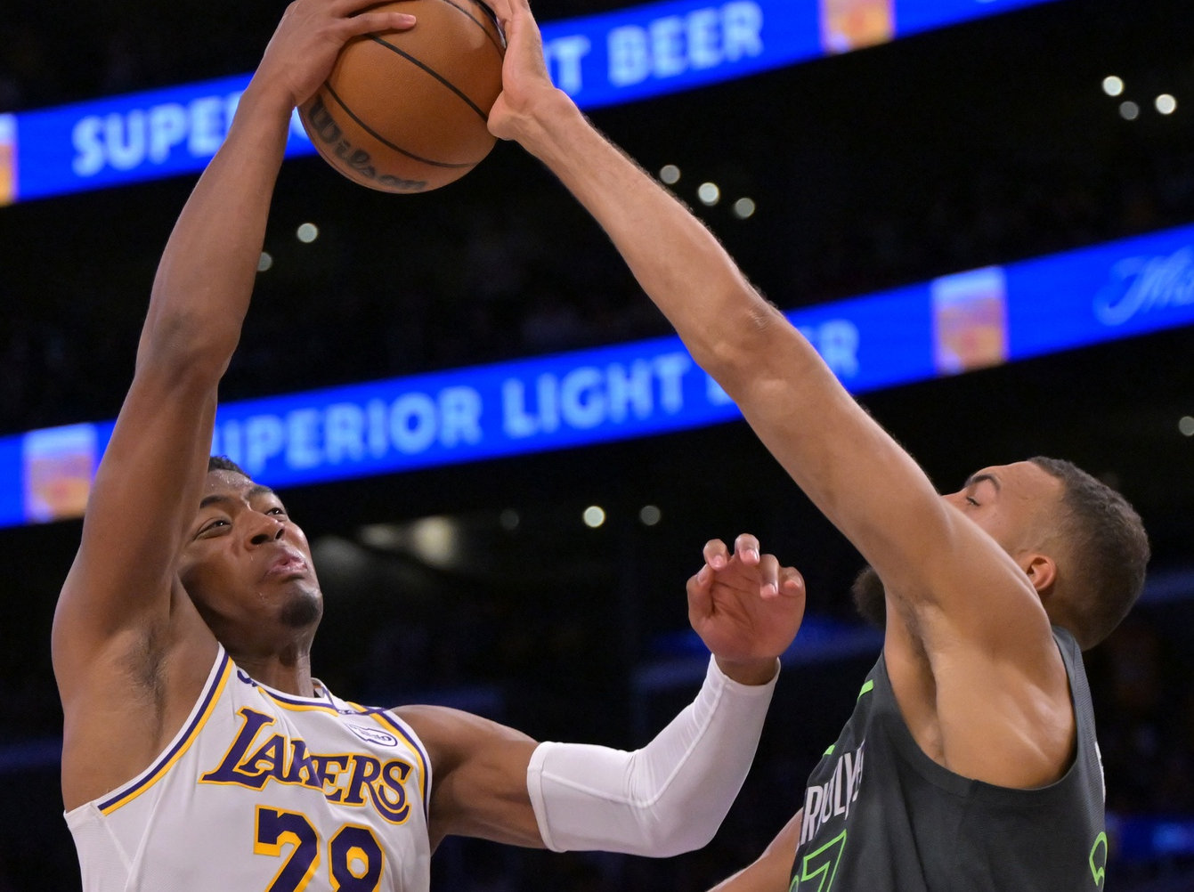 rudy gobert